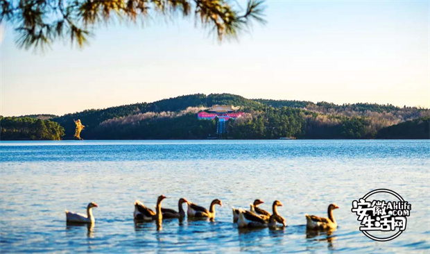 首页| 尊龙·Z6(中国集团)官方网站