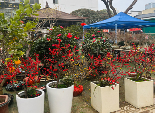 首页| 尊龙·Z6(中国集团)官方网站