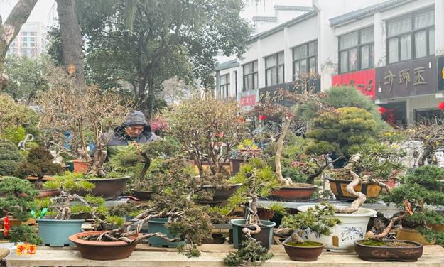 首页| 尊龙·Z6(中国集团)官方网站