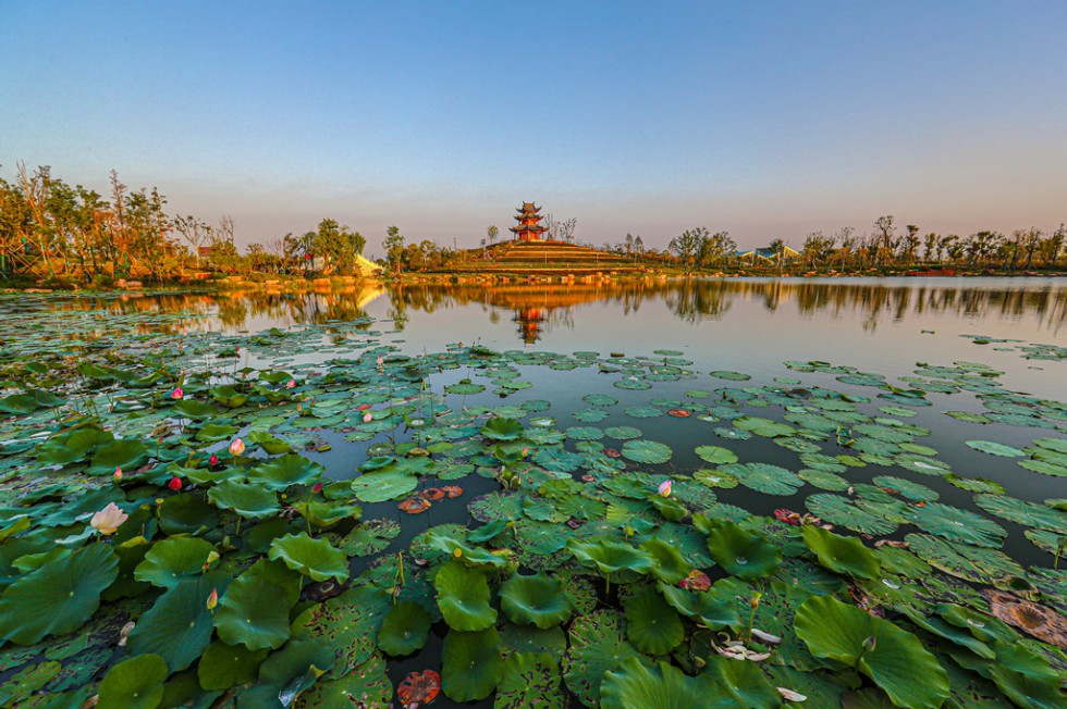 首页| 尊龙·Z6(中国集团)官方网站