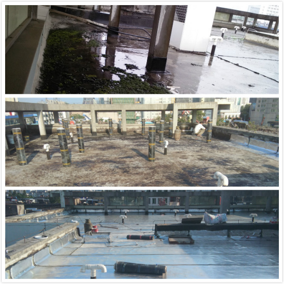 首页| 尊龙·Z6(中国集团)官方网站