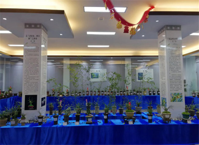 首页| 尊龙·Z6(中国集团)官方网站