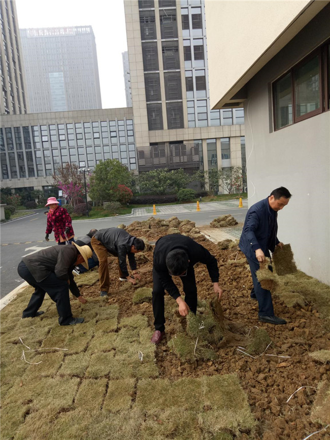 首页| 尊龙·Z6(中国集团)官方网站