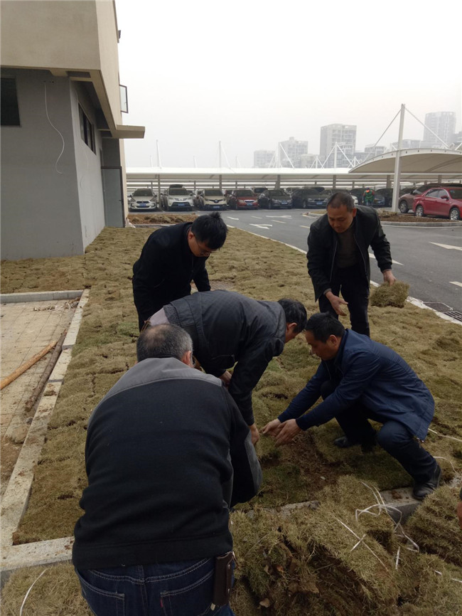 首页| 尊龙·Z6(中国集团)官方网站