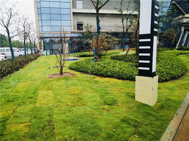 首页| 尊龙·Z6(中国集团)官方网站