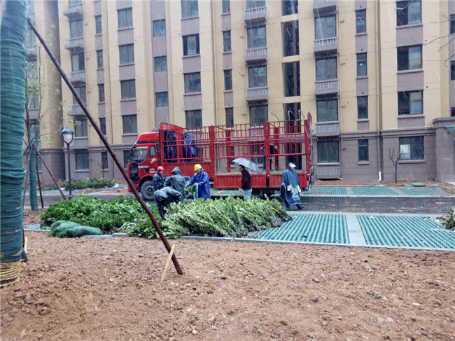 首页| 尊龙·Z6(中国集团)官方网站