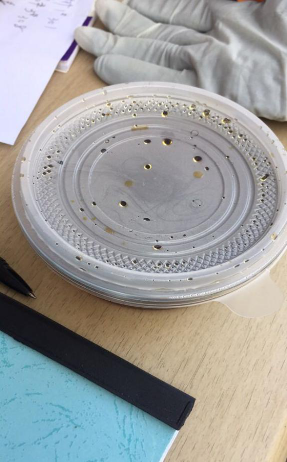 首页| 尊龙·Z6(中国集团)官方网站