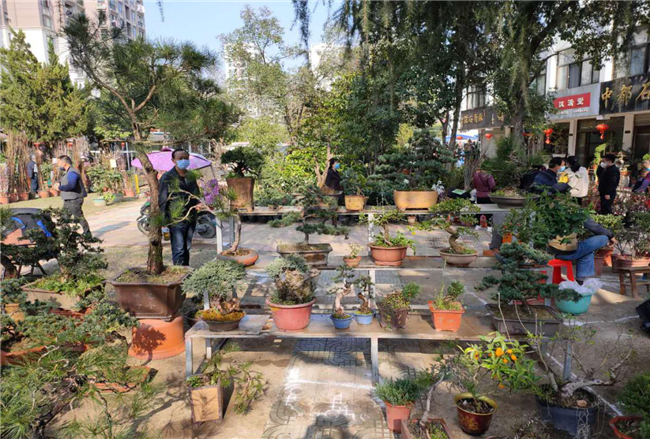 首页| 尊龙·Z6(中国集团)官方网站