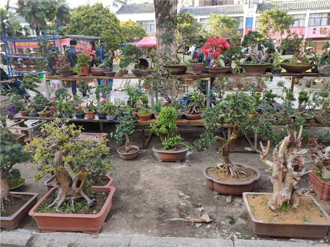 首页| 尊龙·Z6(中国集团)官方网站