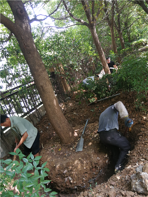 首页| 尊龙·Z6(中国集团)官方网站