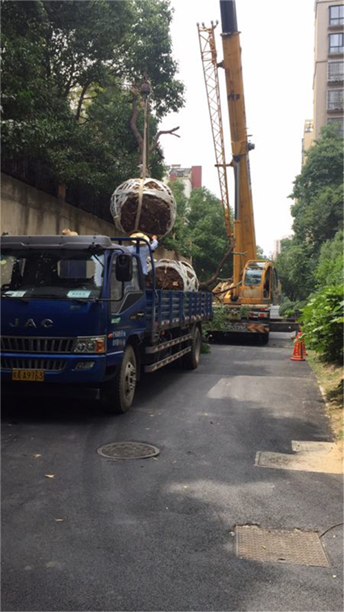 首页| 尊龙·Z6(中国集团)官方网站