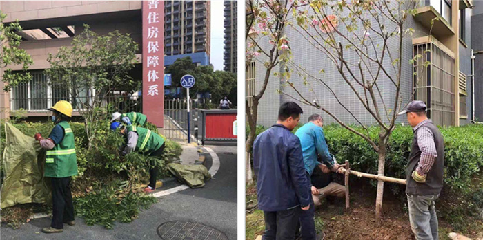 首页| 尊龙·Z6(中国集团)官方网站