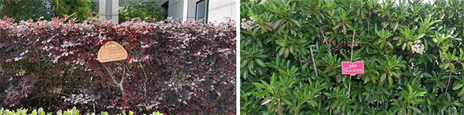 首页| 尊龙·Z6(中国集团)官方网站