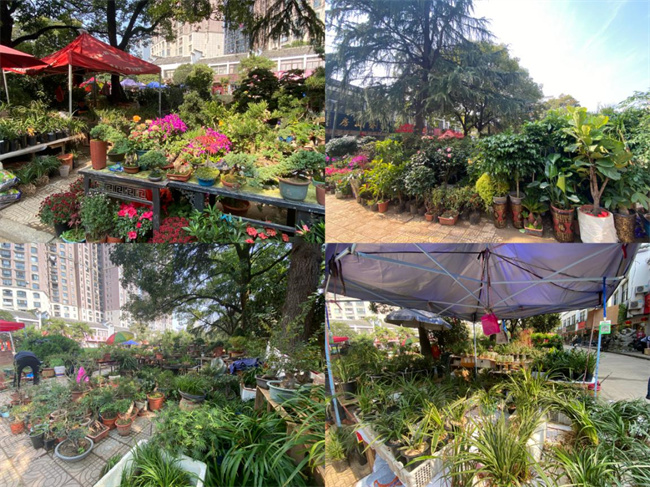 首页| 尊龙·Z6(中国集团)官方网站