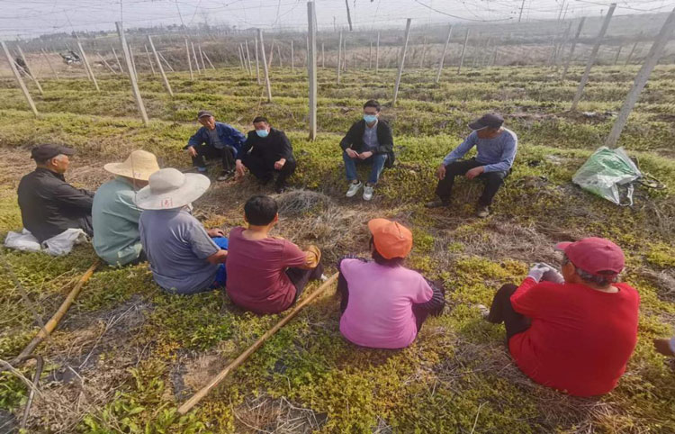 首页| 尊龙·Z6(中国集团)官方网站