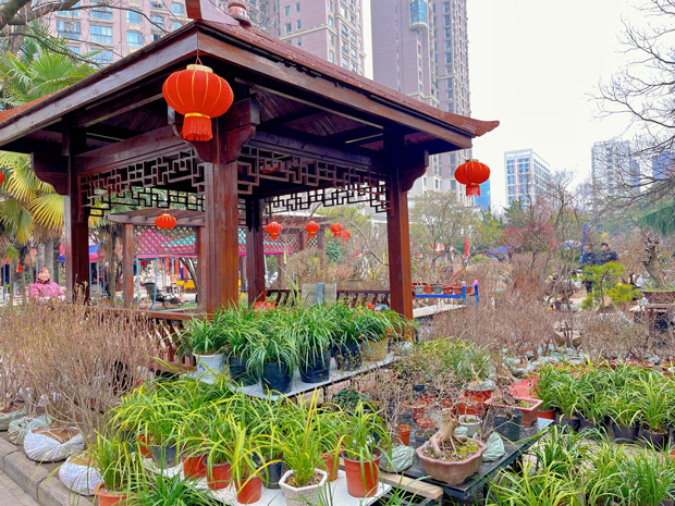 首页| 尊龙·Z6(中国集团)官方网站