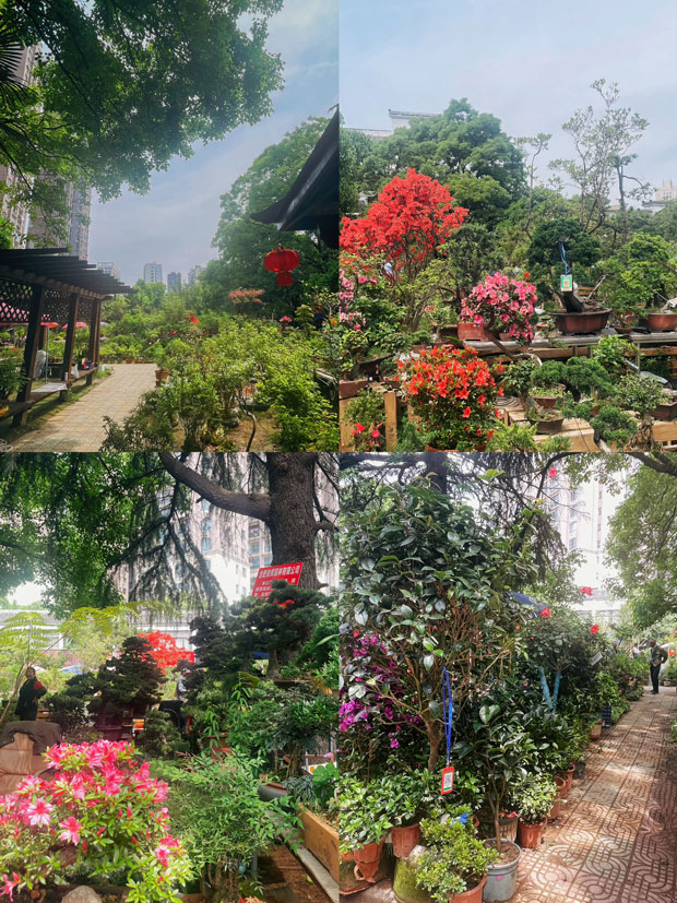 首页| 尊龙·Z6(中国集团)官方网站