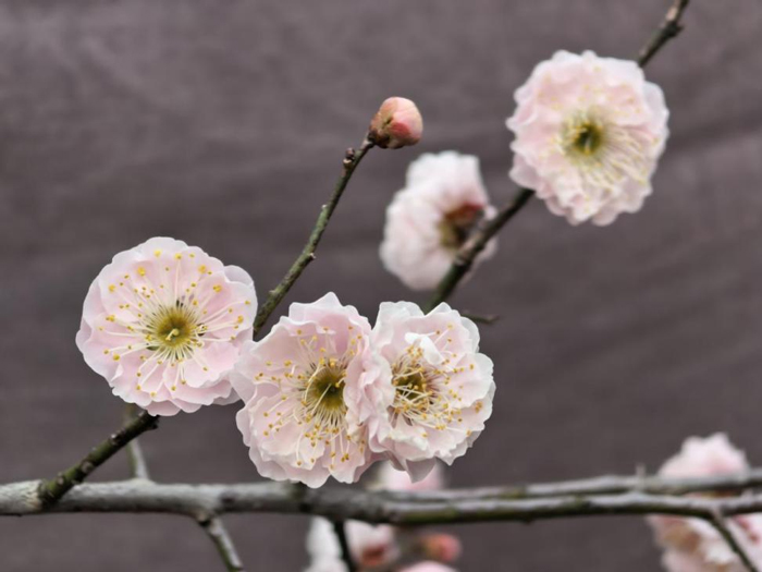 首页| 尊龙·Z6(中国集团)官方网站